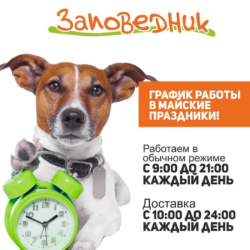 Режим Работы Магазина Для Животных
